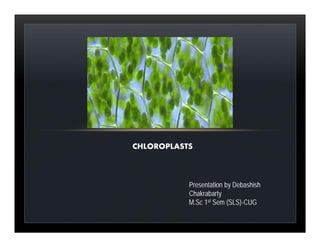 Presentation by Debashish
Chakrabarty
M.Sc 1st Sem (SLS)-CUG
CHLOROPLASTS
 