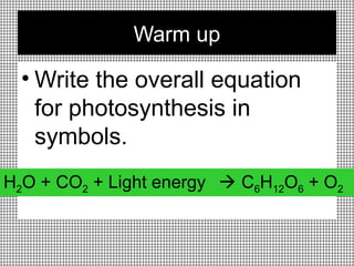Warm up
• Write the overall equation
for photosynthesis in
symbols.
H2O + CO2 + Light energy  C6H12O6 + O2
 