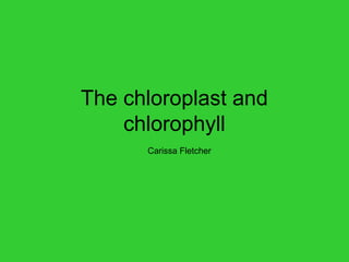 The chloroplast and
    chlorophyll
      Carissa Fletcher
 