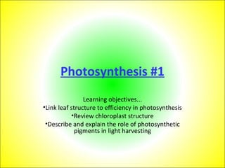 Photosynthesis #1
Learning objectives...
•Link leaf structure to efficiency in photosynthesis
•Review chloroplast structure
•Describe and explain the role of photosynthetic
pigments in light harvesting
 