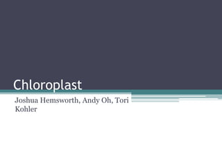 Chloroplast Joshua Hemsworth, Andy Oh, Tori Kohler 