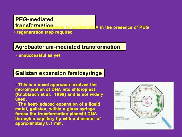 Chloroplast transformation