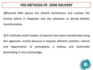 PEG METHODS OF GENE DELIVERY
Plasmid DNA passes the plastid membranes and reaches the
stroma where it integrates into the plastome as during biolistic
transformation.
 A relatively small number of species have been transformed using
this approach, mainly because it requires efficient isolation, culture
and regeneration of protoplasts, a tedious and technically
demanding in vitro technology.
 