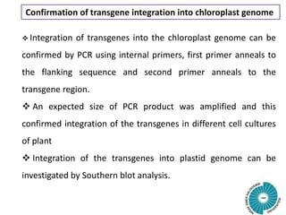 Confirmation of transgene integration into chloroplast genome
 Integration of transgenes into the chloroplast genome can be
confirmed by PCR using internal primers, first primer anneals to
the flanking sequence and second primer anneals to the
transgene region.
 An expected size of PCR product was amplified and this
confirmed integration of the transgenes in different cell cultures
of plant
 Integration of the transgenes into plastid genome can be
investigated by Southern blot analysis.
 