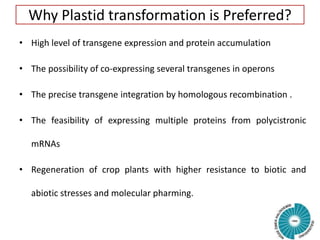 Why Plastid transformation is Preferred?
• High level of transgene expression and protein accumulation
• The possibility of co-expressing several transgenes in operons
• The precise transgene integration by homologous recombination .
• The feasibility of expressing multiple proteins from polycistronic
mRNAs
• Regeneration of crop plants with higher resistance to biotic and
abiotic stresses and molecular pharming.
 