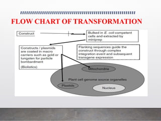 FLOW CHART OF TRANSFORMATION
 