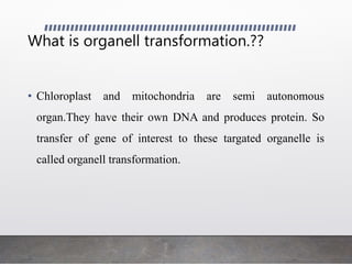 What is organell transformation.??
• Chloroplast and mitochondria are semi autonomous
organ.They have their own DNA and produces protein. So
transfer of gene of interest to these targated organelle is
called organell transformation.
 