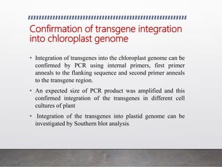 Confirmation of transgene integration
into chloroplast genome
• Integration of transgenes into the chloroplast genome can be
confirmed by PCR using internal primers, first primer
anneals to the flanking sequence and second primer anneals
to the transgene region.
• An expected size of PCR product was amplified and this
confirmed integration of the transgenes in different cell
cultures of plant
• Integration of the transgenes into plastid genome can be
investigated by Southern blot analysis.
 