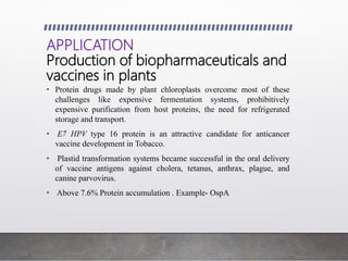 APPLICATION
Production of biopharmaceuticals and
vaccines in plants
• Protein drugs made by plant chloroplasts overcome most of these
challenges like expensive fermentation systems, prohibitively
expensive purification from host proteins, the need for refrigerated
storage and transport.
• E7 HPV type 16 protein is an attractive candidate for anticancer
vaccine development in Tobacco.
• Plastid transformation systems became successful in the oral delivery
of vaccine antigens against cholera, tetanus, anthrax, plague, and
canine parvovirus.
• Above 7.6% Protein accumulation . Example- OspA
 