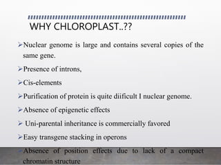 WHY CHLOROPLAST..??
Nuclear genome is large and contains several copies of the
same gene.
Presence of introns,
Cis-elements
Purification of protein is quite diificult I nuclear genome.
Absence of epigenetic effects
 Uni-parental inheritance is commercially favored
Easy transgene stacking in operons
Absence of position effects due to lack of a compact
chromatin structure
 