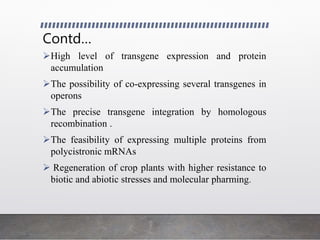 Contd…
High level of transgene expression and protein
accumulation
The possibility of co-expressing several transgenes in
operons
The precise transgene integration by homologous
recombination .
The feasibility of expressing multiple proteins from
polycistronic mRNAs
 Regeneration of crop plants with higher resistance to
biotic and abiotic stresses and molecular pharming.
 