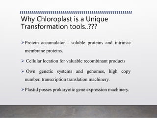 Why Chloroplast is a Unique
Transformation tools..???
Protein accumulator - soluble proteins and intrinsic
membrane proteins.
 Cellular location for valuable recombinant products
 Own genetic systems and genomes, high copy
number, transcription translation machinery.
Plastid posses prokaryotic gene expression machinery.
 