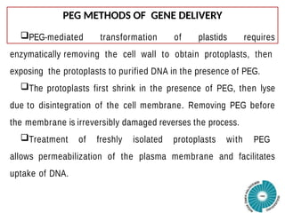 Chloroplast transformation and its applications.pptx