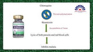 Chloroquine
Heamozoin
Prevents polymerization
Lysis of both parasite and red blood cells
Accumulation of heam
Inhibits malaria 27
 