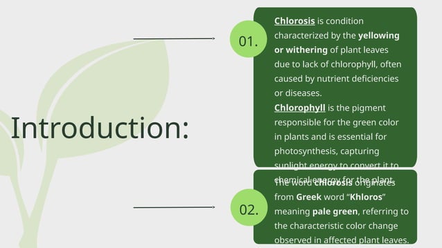 Presentation on Plant Disease Chlorosis.pptx
