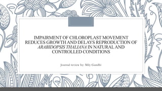 IMPAIRMENT OF CHLOROPLAST MOVEMENT
REDUCES GROWTHAND DELAYS REPRODUCTION OF
ARABIDOPSIS THALIANA IN NATURALAND
CONTROLLED CONDITIONS
Journal review by: Mily Gandhi
 