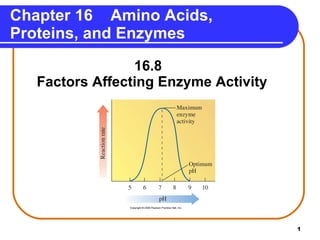 Chapter 16  Amino Acids, Proteins, and Enzymes ,[object Object],[object Object]