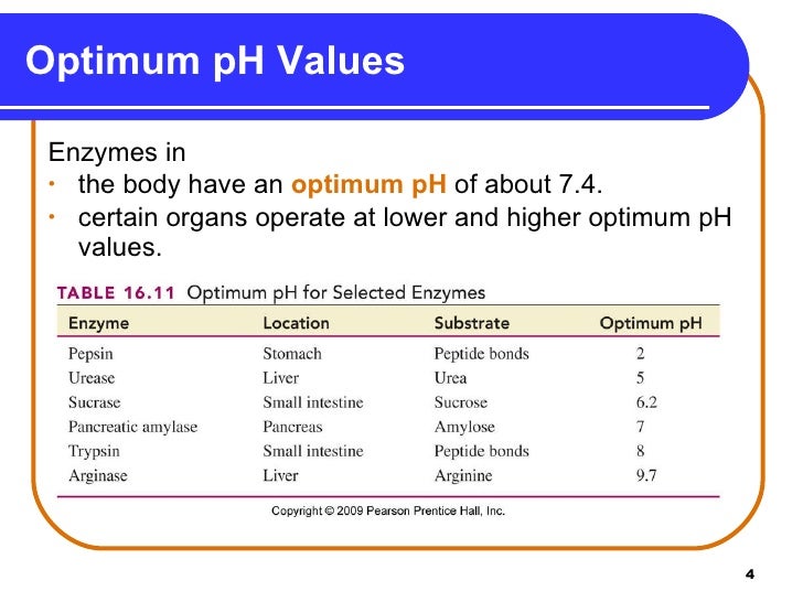 CHM 10516_8 Factors Affecting Enzyme Activity