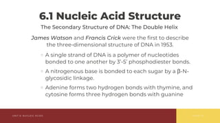 Comprehensive Overview of Nucleic Acids: Structure, Function, and ...