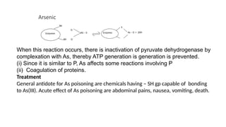 Arsenic
SH
SH
Enzyme AS – 0
O
O
Enzymes
SH
SH
Enzymee
S
As – 0-
+ 20H
When this reaction occurs, there is inactivation of pyruvate dehydrogenase by
complexation with As, thereby ATP generation is generation is prevented.
(i) Since it is similar to P, As affects some reactions involving P
(ii) Coagulation of proteins.
Treatment
General antidote for As poisoning are chemicals having – SH gp capable of bonding
to As(III). Acute effect of As poisoning are abdominal pains, nausea, vomiting, death.
 