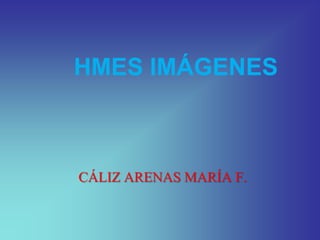 HMES IMÁGENES CÁLIZ ARENAS MARÍA F. 
