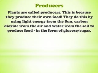 Producers
  Plants are called producers. This is because
 they produce their own food! They do this by
   using light energy from the Sun, carbon
dioxide from the air and water from the soil to
  produce food - in the form of glucose/sugar.
 