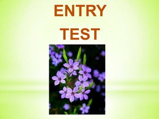 ENTRY
 TEST
 
