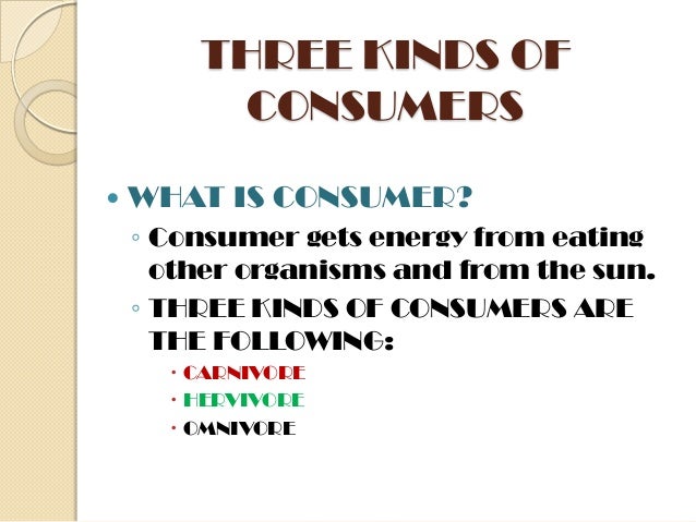 what are the three main types of consumers
