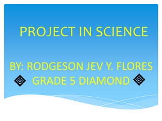 PROJECT IN SCIENCE

BY: RODGESON JEV Y. FLORES
     GRADE 5 DIAMOND
 