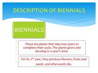 Chmsc lab school science project classification of plants | PPTX