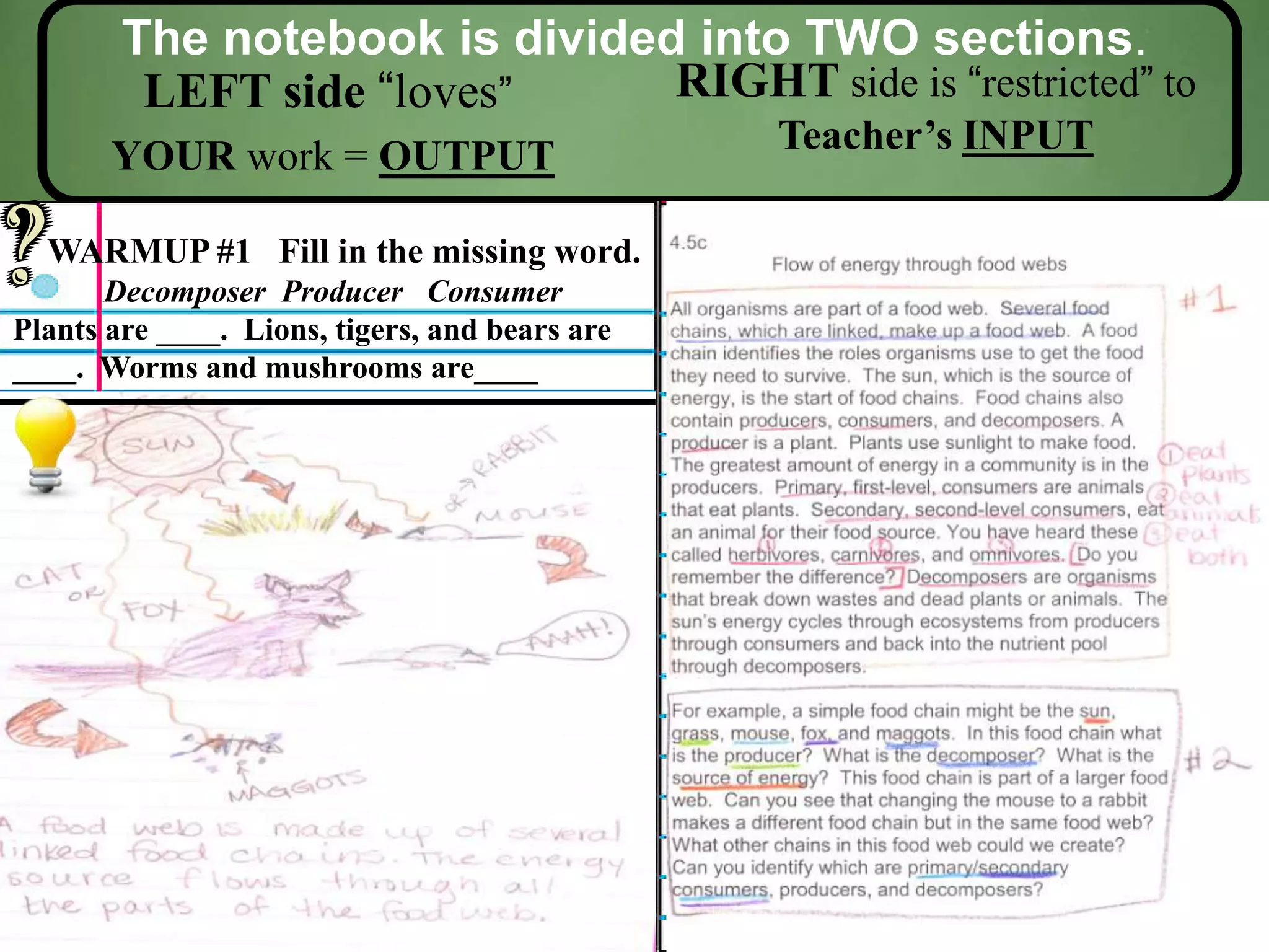 The notebook is divided into TWO sections.
LEFT side “loves”
YOUR work = OUTPUT
RIGHT side is “restricted” to
Teacher’s INPUT
WARMUP #1 Fill in the missing word.
Decomposer Producer Consumer
Plants are ____. Lions, tigers, and bears are
____. Worms and mushrooms are____
 