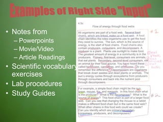 • Notes from
– Powerpoints
– Movie/Video
– Article Readings
• Scientific vocabulary
exercises
• Lab procedures
• Study Guides
 