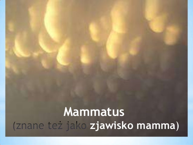 Chmury Mammatus - Mammatus Chmury Niebo Krajobraz Darmowe Zdjecie Na Pixabay / Zwykle widoczne na niebie kilkanaście minut.