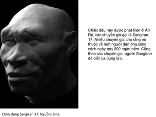 Chân dung Sangiran 17. Ngu n: Sina.ồ
Chiếc đầu này được phát hiện ở Ấn
Độ, các chuyên gia gọi là Sangiran
17. Nhiều chuyên gia cho rằng nó
thuộc về một người đàn ông sống
cách ngày nay 800 ngàn năm. Cũng
theo các chuyên gia, người Sangiran
đã biết sử dụng lửa.
 