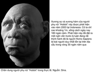 Chân dung người phụ nữ “Hobbit” trong thực tế. Nguồn: Sina.
Xương sọ và xương hàm của người
phụ nữ “Hobbit” này được phát hiện
vào năm 2003 tại Indonesia. Cô ta chỉ
cao khoảng 1m, sống cách ngày nay
180 ngàn năm. Phát hiện này đã đặt ra
một nghi vấn trước lý luận đang rất
thịnh hành đó là người Homo Sapiens
là loài người duy nhất tồn tại trên địa
cầu trong vòng 30 ngàn năm qua
 