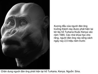 Chân dung người đàn ông phát hiện tại hồ Turkana, Kenya. Nguồn: Sina.
Xương đầu của người đàn ông
trưởng thành này được phát hiện tại
bờ tây hồ Turkana thuộc Kenya vào
năm 1985. Các nhà khoa học cho
rằng, người đàn ông này sống cách
ngày nay 2,5 triệu năm trước
 