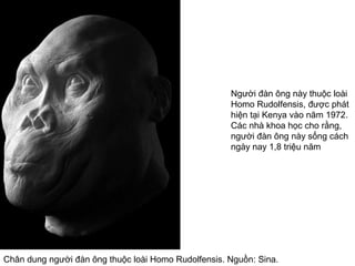 Chân dung người đàn ông thuộc loài Homo Rudolfensis. Nguồn: Sina.
Người đàn ông này thuộc loài
Homo Rudolfensis, được phát
hiện tại Kenya vào năm 1972.
Các nhà khoa học cho rằng,
người đàn ông này sống cách
ngày nay 1,8 triệu năm
 