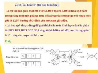 2.3.2. Lai hóa sp2 (lai hóa tam giác):
- Là sự lai hoá giữa một AO s với 2 AO p tạo ra 3AO lai hoá sp2 nằm
trong cùng một mặt phẳng, trục đối xứng của chúng tạo với nhau một
góc là 1200 hướng về 3 đỉnh của một tam giác đều.
- Lai hoá sp2 được dùng để giải thích cấu trúc hình học của các phân
tử BH3, BF3, BCl3, SO2, SO3 và giải thích liên kết đôi của các nguyên
tử C trong các hợp chất hữu cơ.
Ví dụ:
 