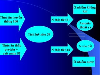 Thức ăn truyền
thống 100
Thức ăn thấp
protein +
axit amin 83
N thải tiết 61
N thải tiết 44
Ô nhiễm nước
Ô nhiễm không
khí
Tích luỹ nitơ 39
Amonia
thoát ra
N vào đất
11
 