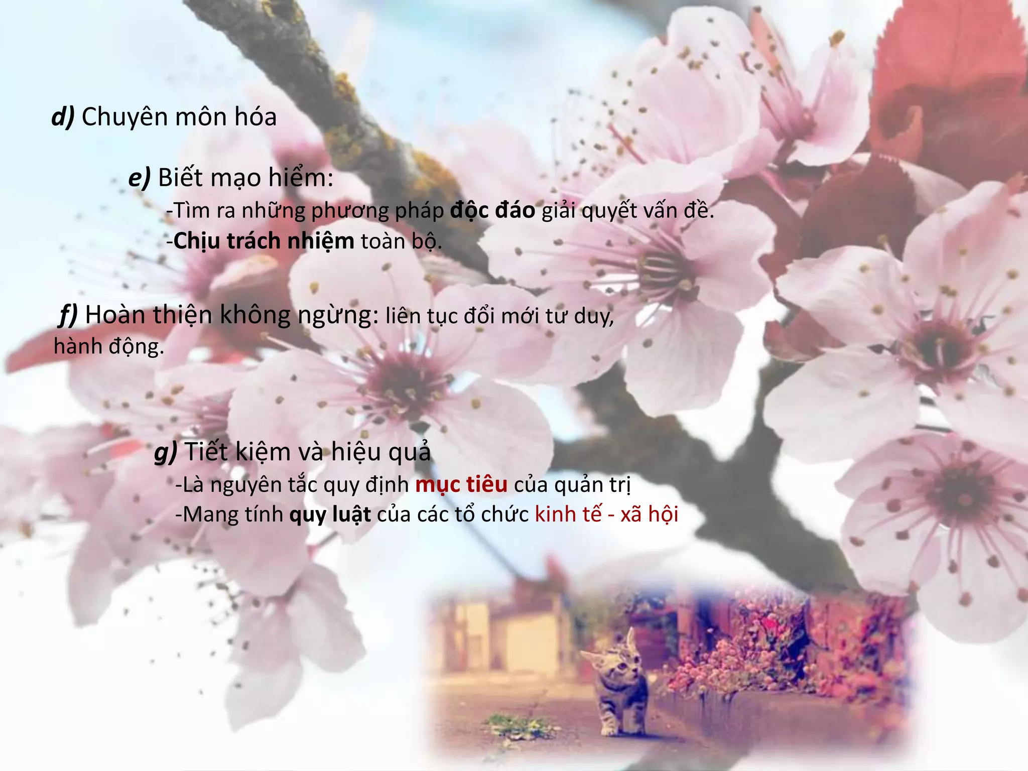 d) Chuyên môn hóa
e) Biết mạo hiểm:
-Tìm ra những phương pháp độc đáo giải quyết vấn đề.
-Chịu trách nhiệm toàn bộ.
f) Hoàn thiện không ngừng: liên tục đổi mới tư duy,
hành động.
g) Tiết kiệm và hiệu quả
-Là nguyên tắc quy định mục tiêu của quản trị
-Mang tính quy luật của các tổ chức kinh tế - xã hội
 