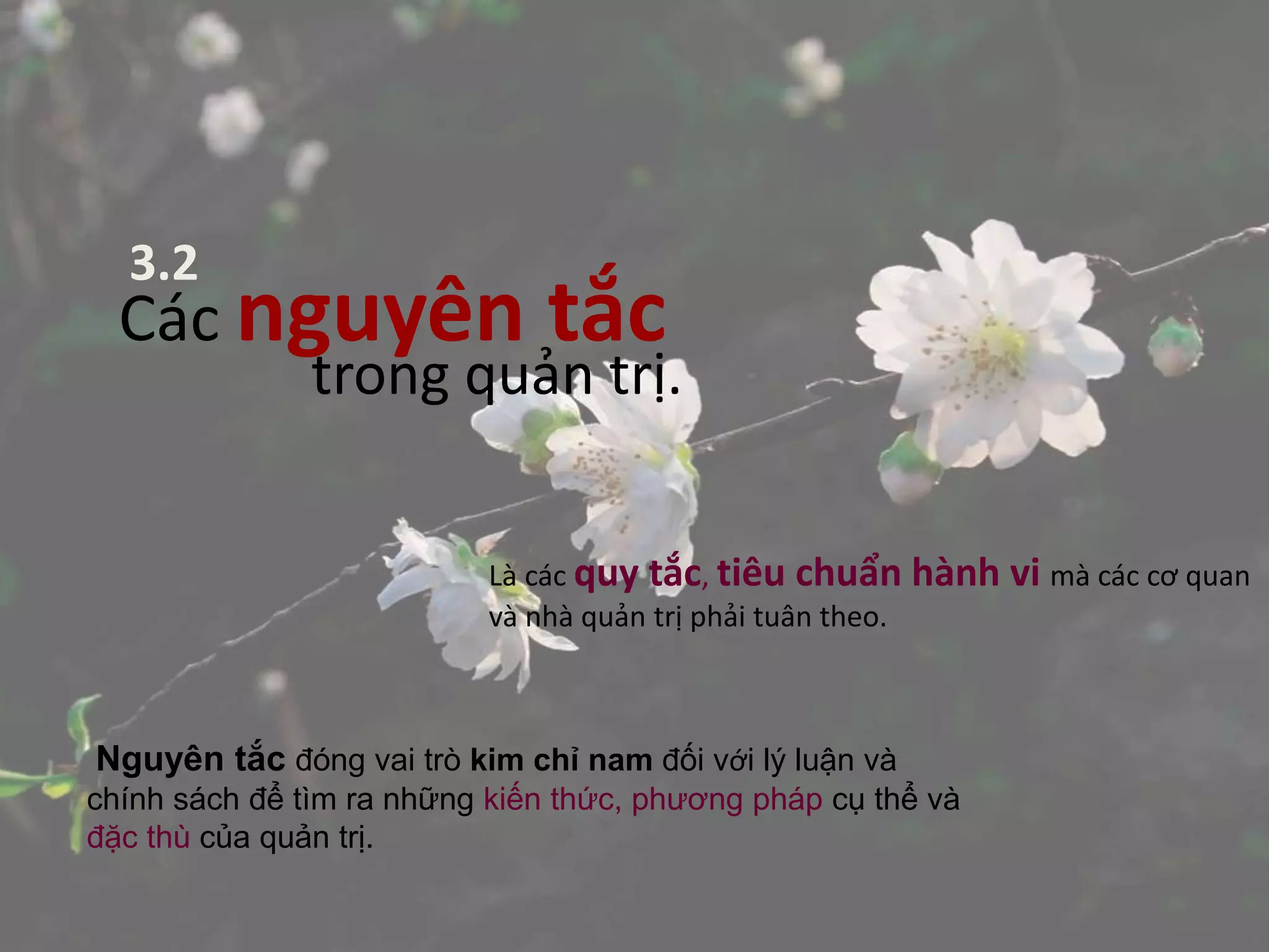 Các nguyên tắc
trong quản trị.
3.2
Là các quy tắc, tiêu chuẩn hành vi mà các cơ quan
và nhà quản trị phải tuân theo.
Nguyên tắc đóng vai trò kim chỉ nam đối với lý luận và
chính sách để tìm ra những kiến thức, phương pháp cụ thể và
đặc thù của quản trị.
 