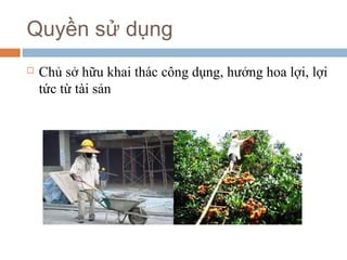 Quyền sử dụng
   Chủ sở hữu khai thác công dụng, hưởng hoa lợi, lợi
    tức từ tài sản
 