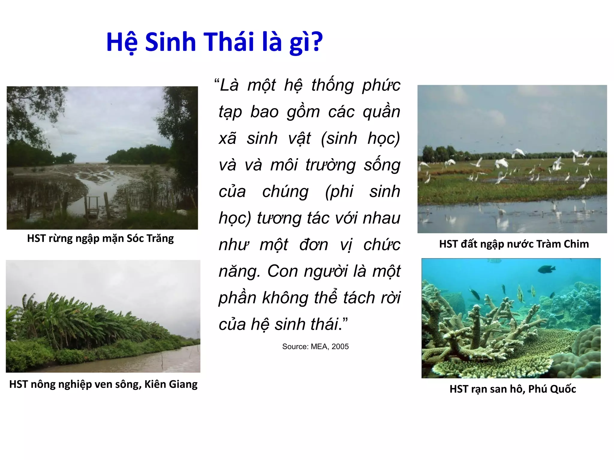 Chương 6 dinh gia moi truong va tai nguyen | PDF