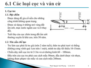 1. Cọc tre
1.1. Đặc điểm
 Được dùng để gia cố nền cho những
công trình không quan trọng.
 Được sử dụng ở những nơi vùng đất
ẩm ướt, mực nước ngầm cao và ít thay
đổi.
 Tuổi thọ của cọc chôn trong đất ẩm ướt
thường xuyên là khá cao, trên 50 năm.
5/29/2014 3
1.2. Yêu cầu chế tạo
 Tre làm cọc phải là tre già (trên 2 năm tuổi), thân tre phải tươi và thẳng
(không cong vênh quá 1cm trên 1 mét), mình tre dày tối thiểu 10-15mm.
 Chiều dày mỗi cọc tre từ 2-3m và có đường kính 60 – 100mm.
 Đầu trên của cọc tre phải cưa cách mấu 50mm, đầu dưới được vát nhọn,
không được phạm vào mấu và cưa cách mấu 200mm.
Pham Nguyen Van Phuong
 
