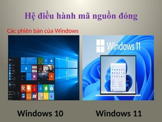 Các phiên bản của Windows
Windows 10 Windows 11
Hệ điều hành mã nguồn đóng
 