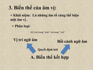 3. Biến thể của âm vị:
+ Khái niệm: Là những âm tố cùng thể hiện
một âm vị .
+ Phân loại:
A. Biến thể kết hợp
Quyết định bởi
Vị trí ngữ âm Bối cảnh ngữ âm
VD: [m] trong ‘’màn’’ và trong ‘’ mũ’’
 