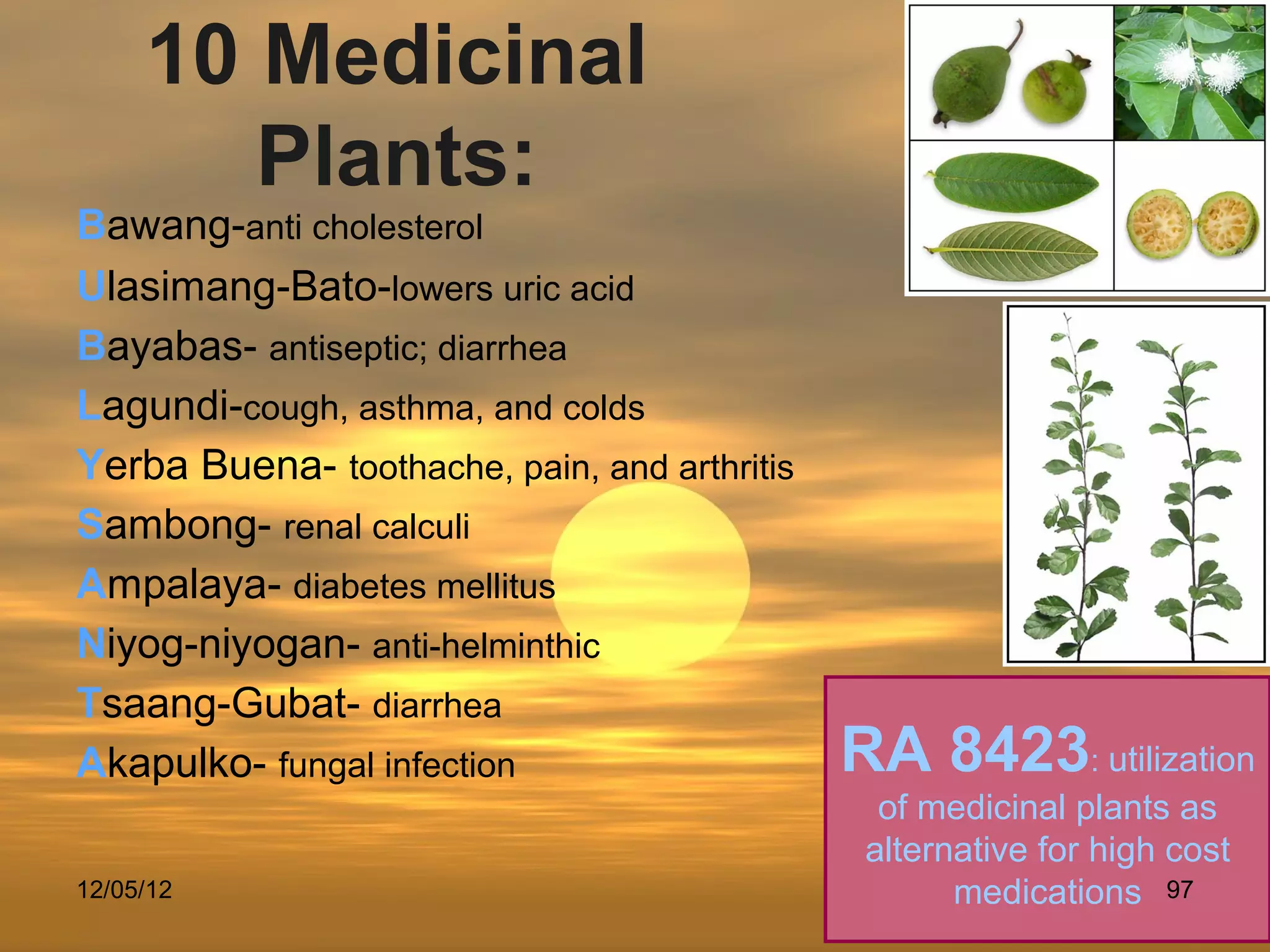 10 Medicinal
        Plants:
Bawang-anti cholesterol
Ulasimang-Bato-lowers uric acid
Bayabas- antiseptic; diarrhea
Lagundi-cough, asthma, and colds
Yerba Buena- toothache, pain, and arthritis
Sambong- renal calculi
Ampalaya- diabetes mellitus
Niyog-niyogan- anti-helminthic
Tsaang-Gubat- diarrhea
Akapulko- fungal infection                    RA 8423: utilization
                                                of medicinal plants as
                                               alternative for high cost
12/05/12                                             medications 97
 