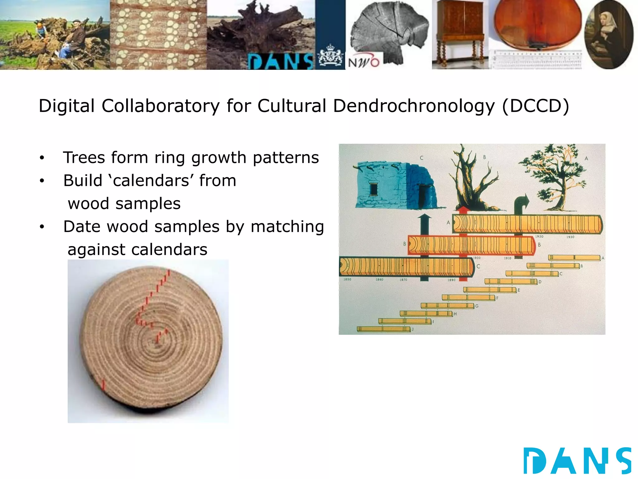 Digital Collaboratory for Cultural Dendrochronology (DCCD) 
• Trees form ring growth patterns 
• Build ‘calendars’ from 
wood samples 
• Date wood samples by matching 
against calendars 
 