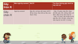 Gãy
thân R
Men-ngà-tủy-cement Nhổ R Tùy theo đường gãy dưới lợi
hay trên lợi
Gãy
chân R
Ngà-tủy-cement Bảo tồn và theo dõi hoặc nhổ R
để lại chop, theo dõi sự tiêu của
đoạn chóp
- Gãy 1/3 giữa: bảo tồn, theo
dõi liền sẹo, KS, chống viêm, cố
định, điều trị tủy nếu hoại tử
- Gãy 1/3 chóp: nếu thuận lợi thì
bảo tồn, KS, cố định, chữa tủy
nếu hoại tử và nhổ 1,3 chóp
 