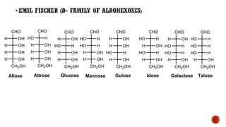 ▪ )
CHO
OH
H
OH
H
OH
H
OH
H
CH2OH
CHO
H
HO
OH
H
OH
H
OH
H
CH2OH
CHO
OH
H
H
HO
OH
H
OH
H
CH2OH
CHO
H
HO
H
HO
OH
H
OH
H
CH2OH
CHO
OH
H
OH
H
H
HO
OH
H
CH2OH
CHO
H
HO
OH
H
H
HO
OH
H
CH2OH
CHO
OH
H
H
HO
H
HO
OH
H
CH2OH
CHO
H
HO
H
HO
H
HO
OH
H
CH2OH
Allose Altrose Glucose Mannose Gulose Idose Galactose Talose
 